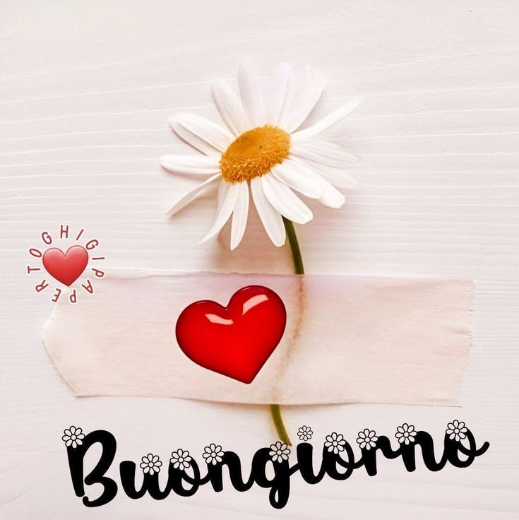 100 immagini buongiorno gratis per whatsapp buon lunedi