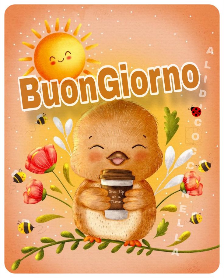 100 immagini buongiorno gratis per whatsapp buon martedi