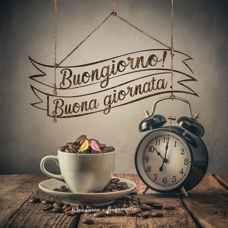 100 immagini buongiorno gratis per whatsapp martedi