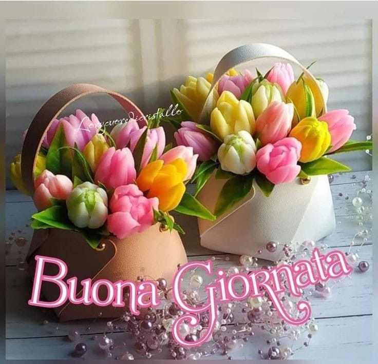 123immagini stupende nuovissimo buongiorno immagini recenti