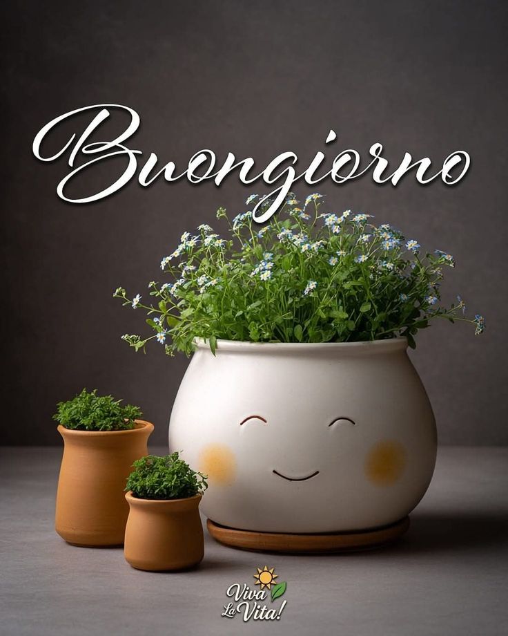 augurando buongiorno immagini