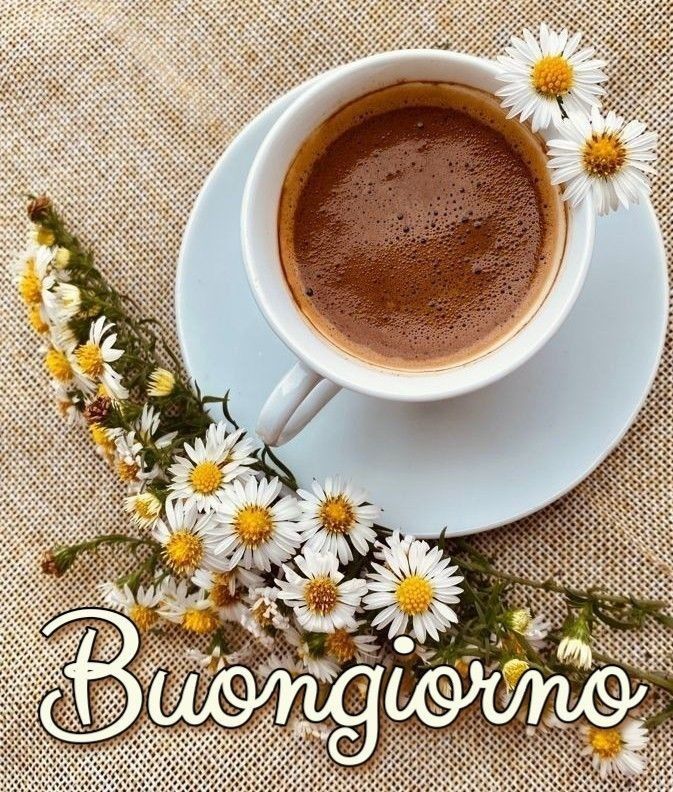 buon fine settimana 100 immagini buongiorno gratis per whatsapp sabato