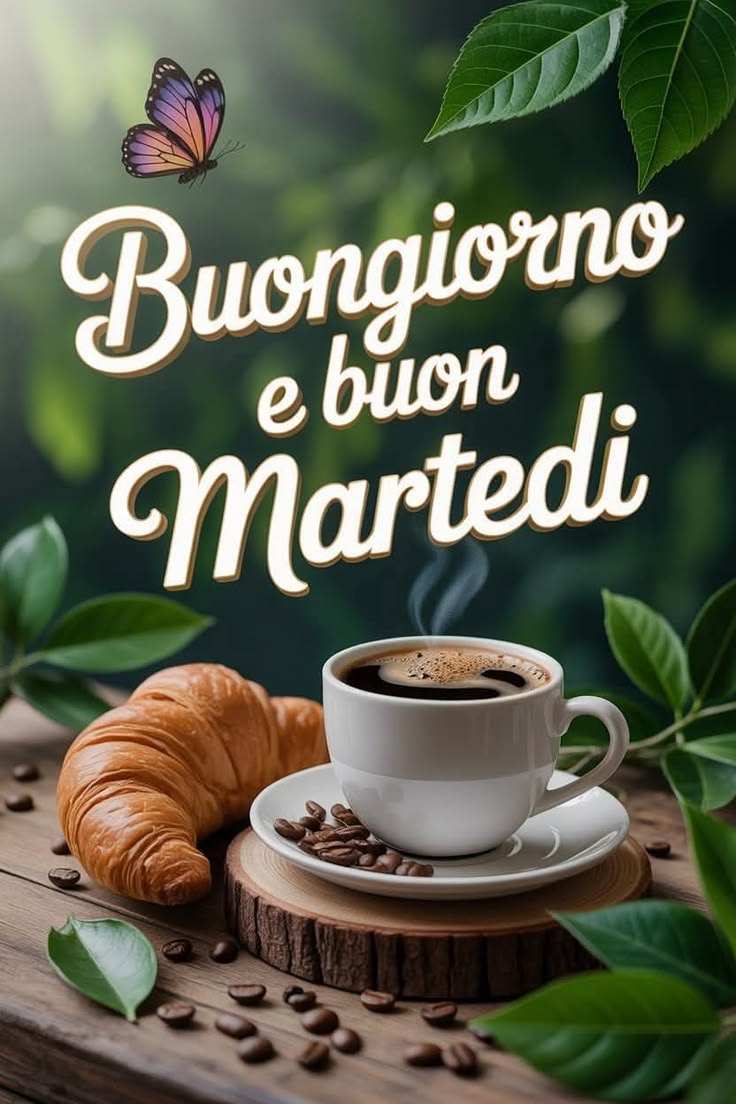 buon giorno 100 immagini buongiorno gratis per whatsapp sabato