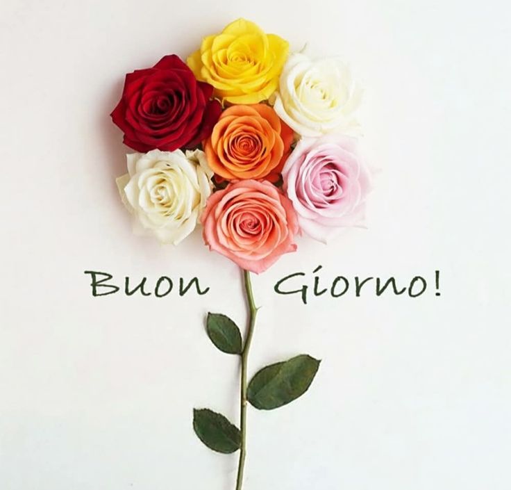 buon martedi immagini buongiorno