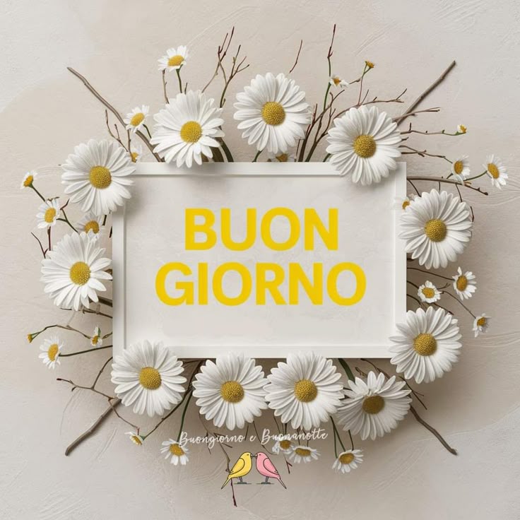 buon venerdi immagini buongiorno nuovissimi