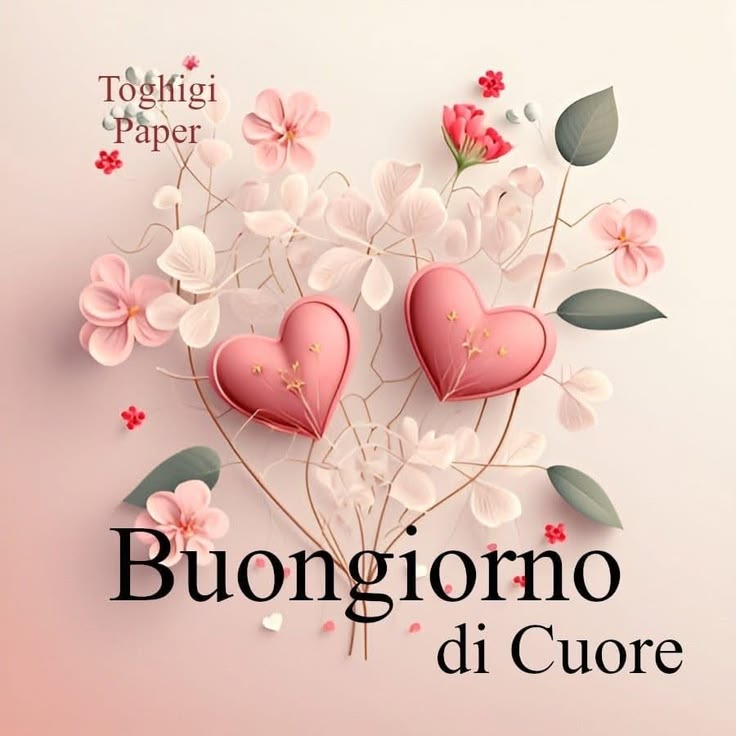 buona giornata buongiorno immagini inedite da scaricare gratis per whatsapp