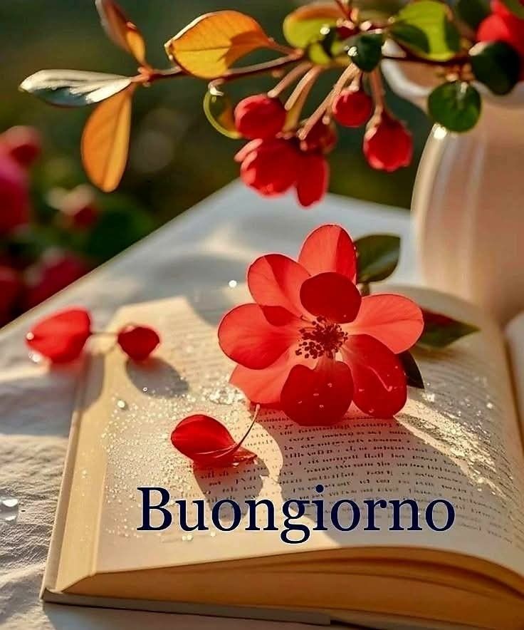 buongiorno bellissimeimmagini nuovissimo buona domenica immagini recenti