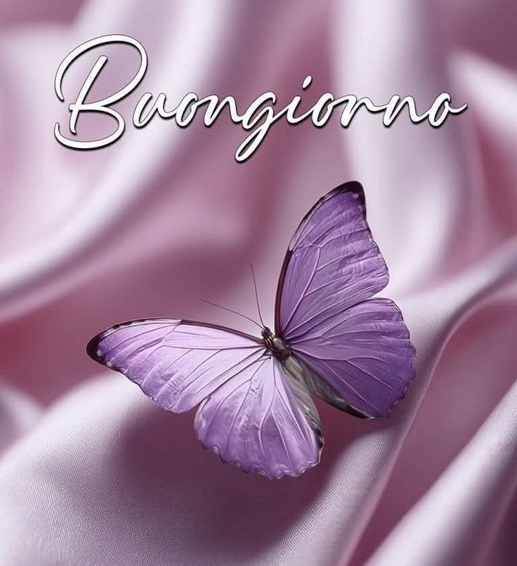 buongiorno immagini inedite da scaricare gratis buona domenica