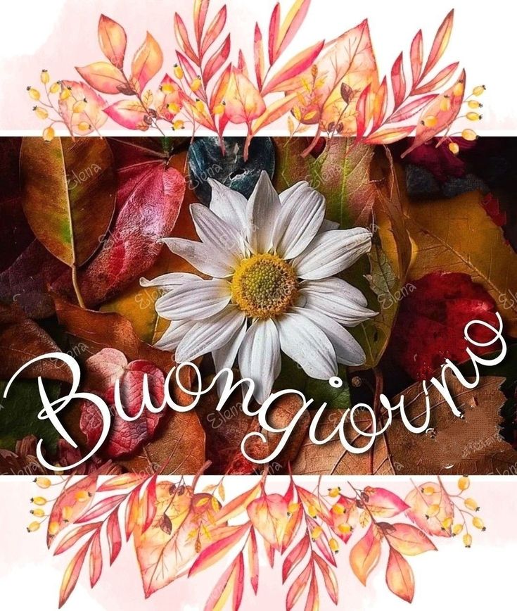 buongiorno immagini inedite da scaricare gratis natalizie