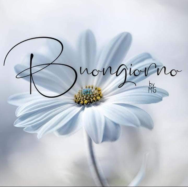 buongiorno immagini nuove gratis domenica