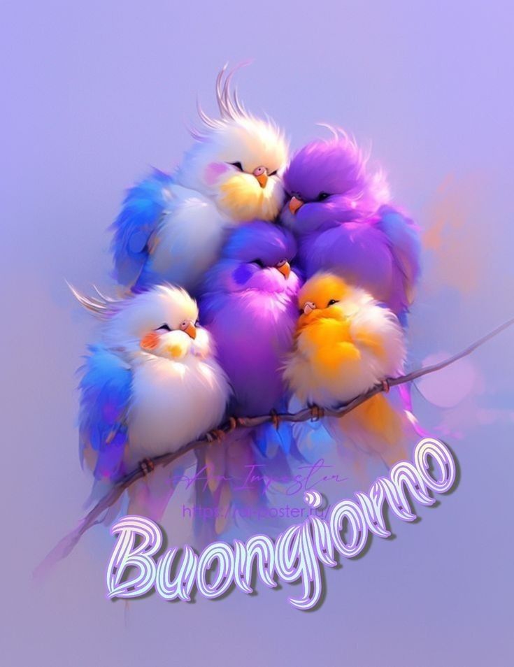 buongiorno jpg