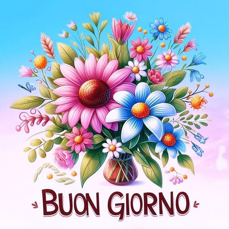 buongiorno koala immagini