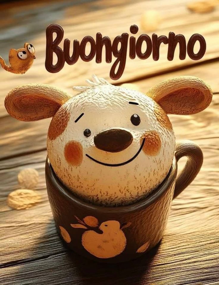 buongiorno nuovissimo
