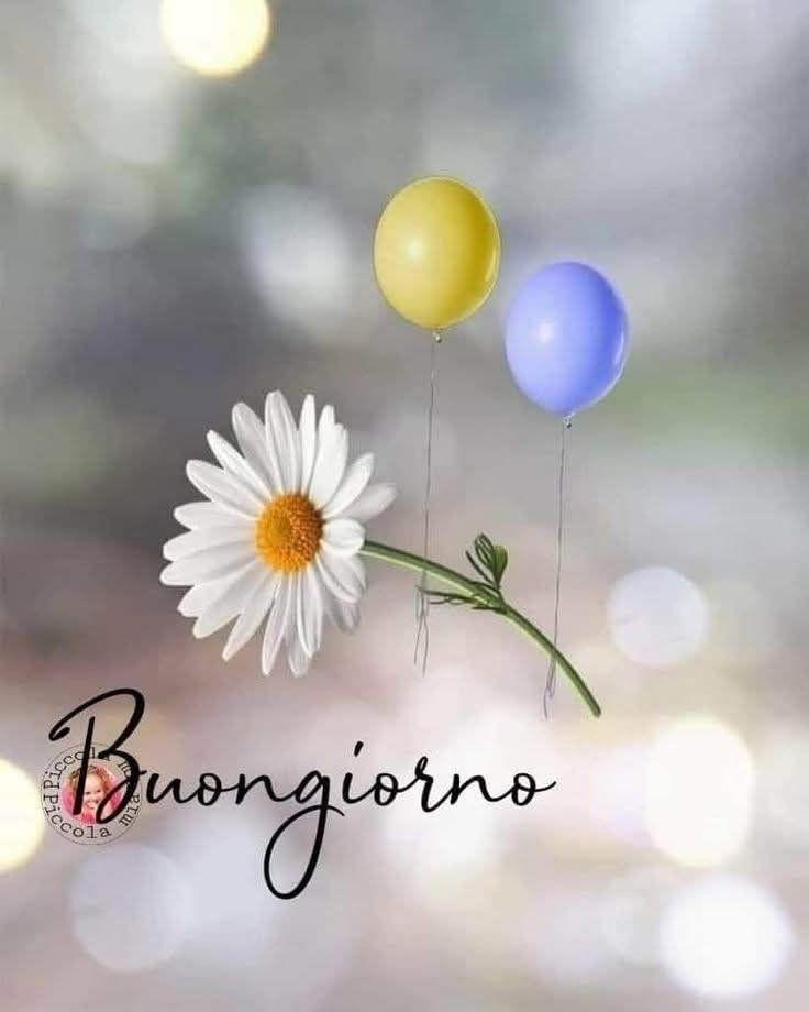 buongiorno nuovissimo buonanotte immagini recenti
