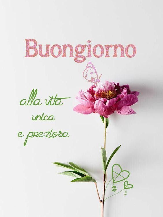 candelora immagini buongiorno