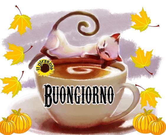 che caldo buongiorno immagini
