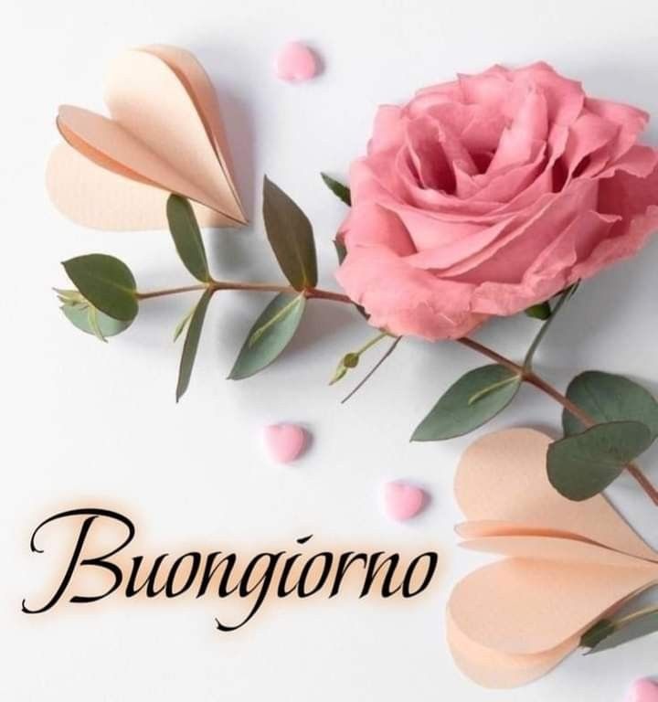 domenica delle palme buongiorno immagini