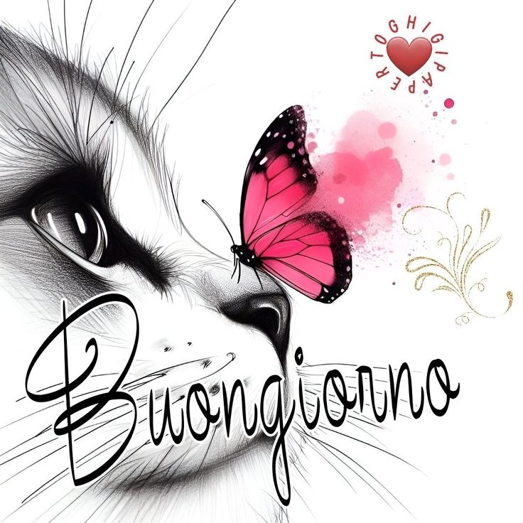 frasilandia immagini buongiorno