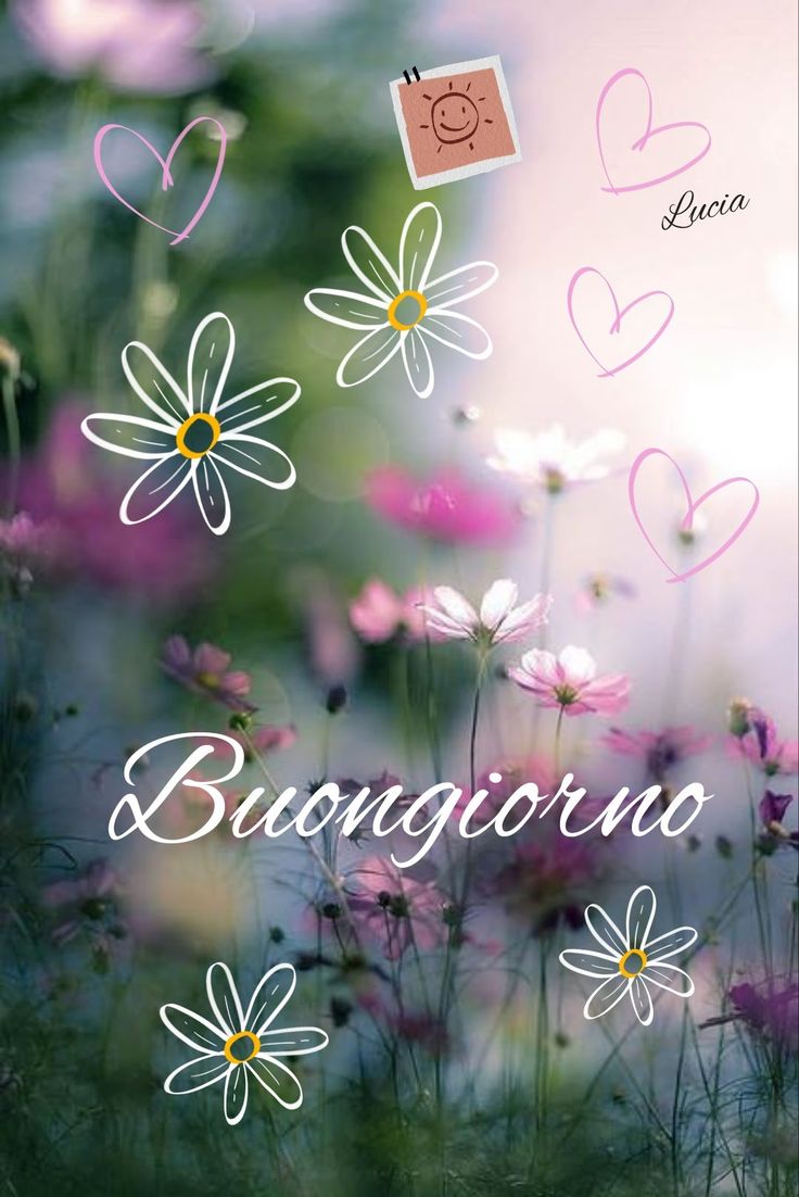 frizzante stupende nuovissimo buongiorno immagini recenti