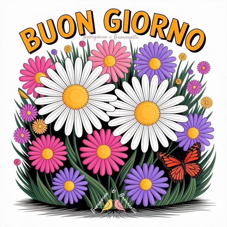 giovedi buona giornata immagini buongiorno