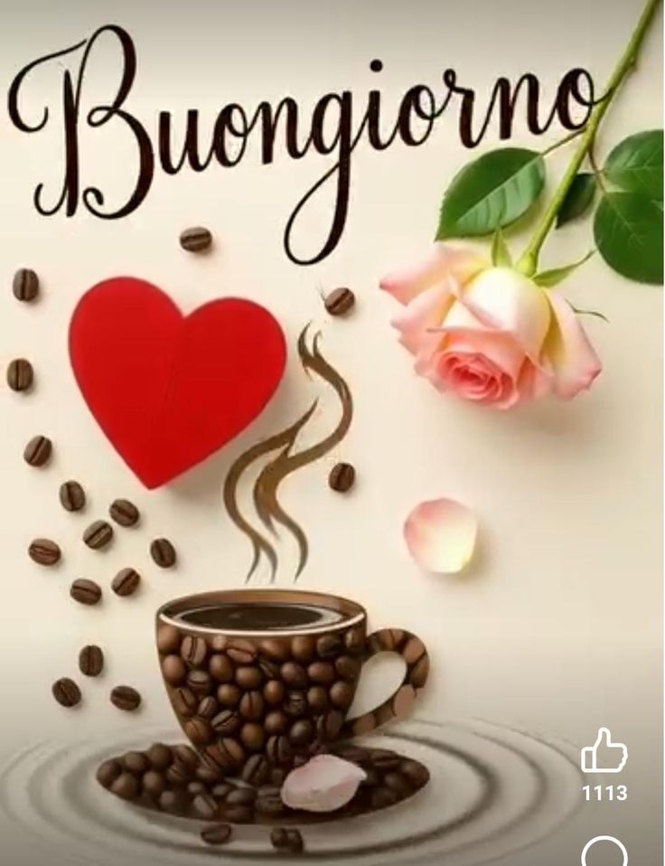 immagini buongiorno animali teneri
