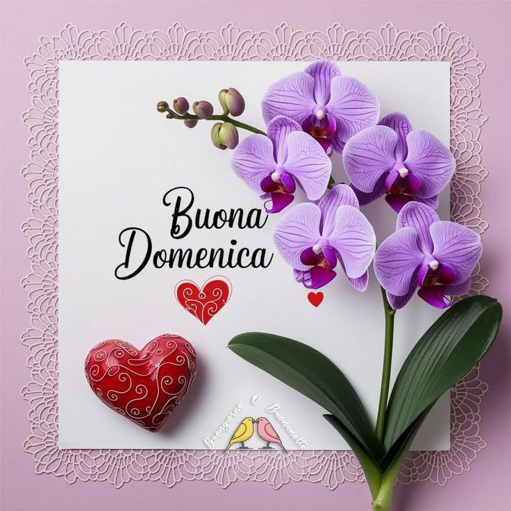 immagini buongiorno gratis da scaricare