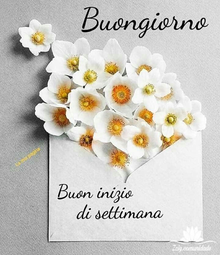 immagini buongiorno nuove
