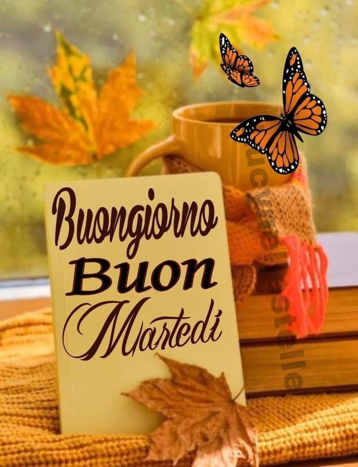 immagini buongiorno sabato