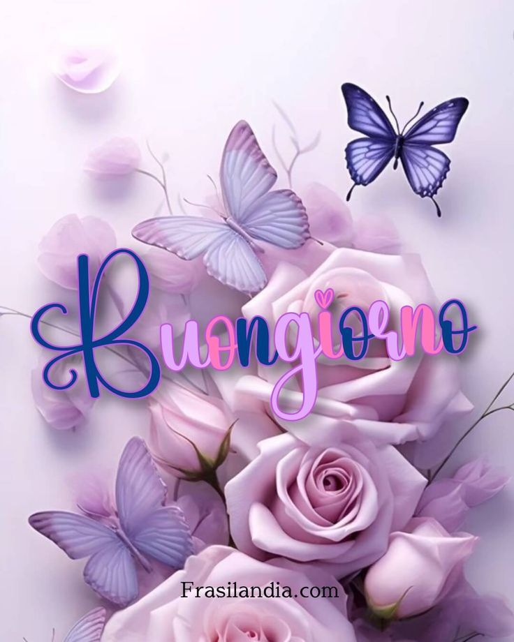 link buongiorno nuovissimi