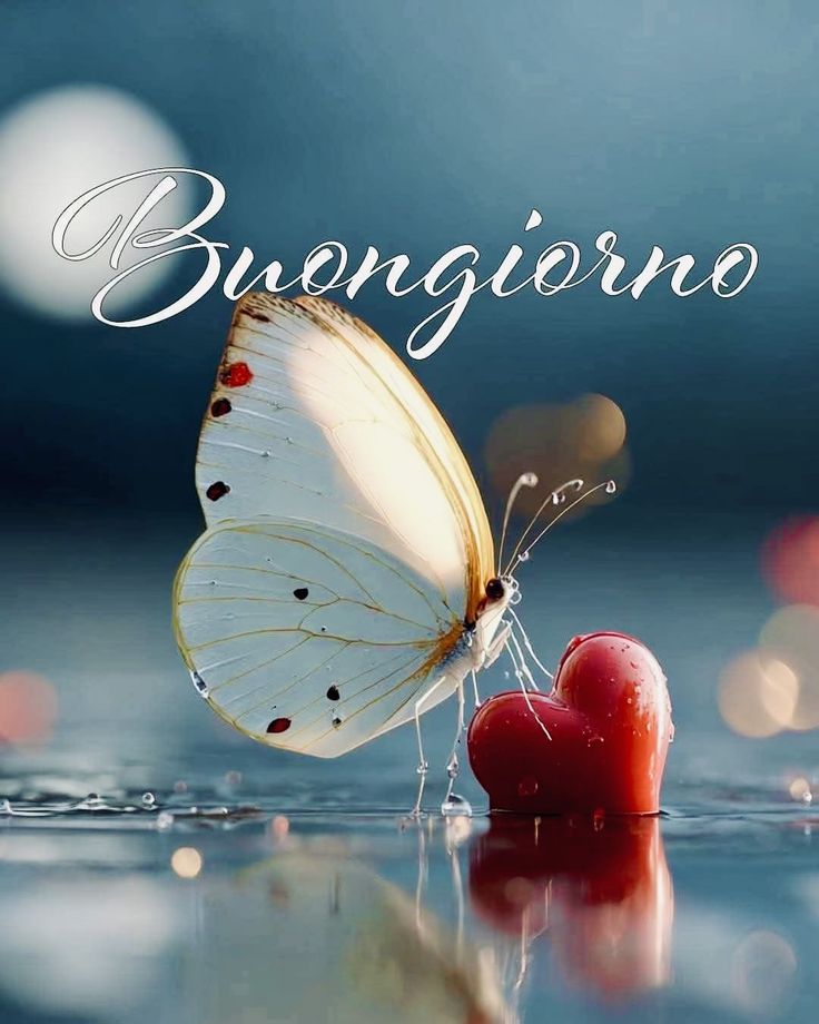 mozzafiato originali nuovissimo buongiorno immagini recenti