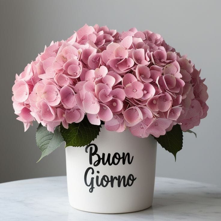 natale immagini buongiorno