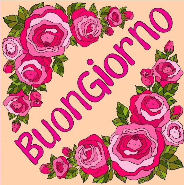 nuovissimi buongiorno martedi immagini nuove