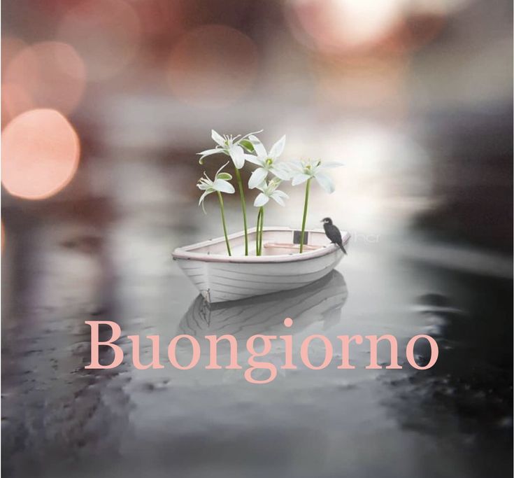 nuovissimo buon giorno nuovissimi nuovissimo buongiorno immagini recenti