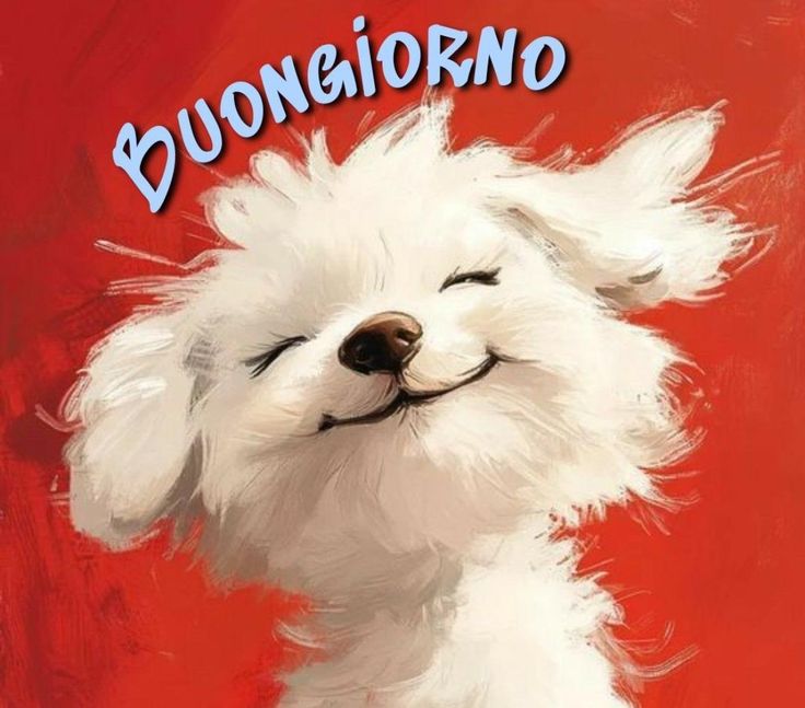 nuovissimo buongiorno immagini recenti gif