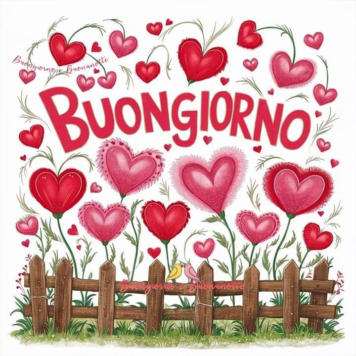 oggi buongiorno immagini