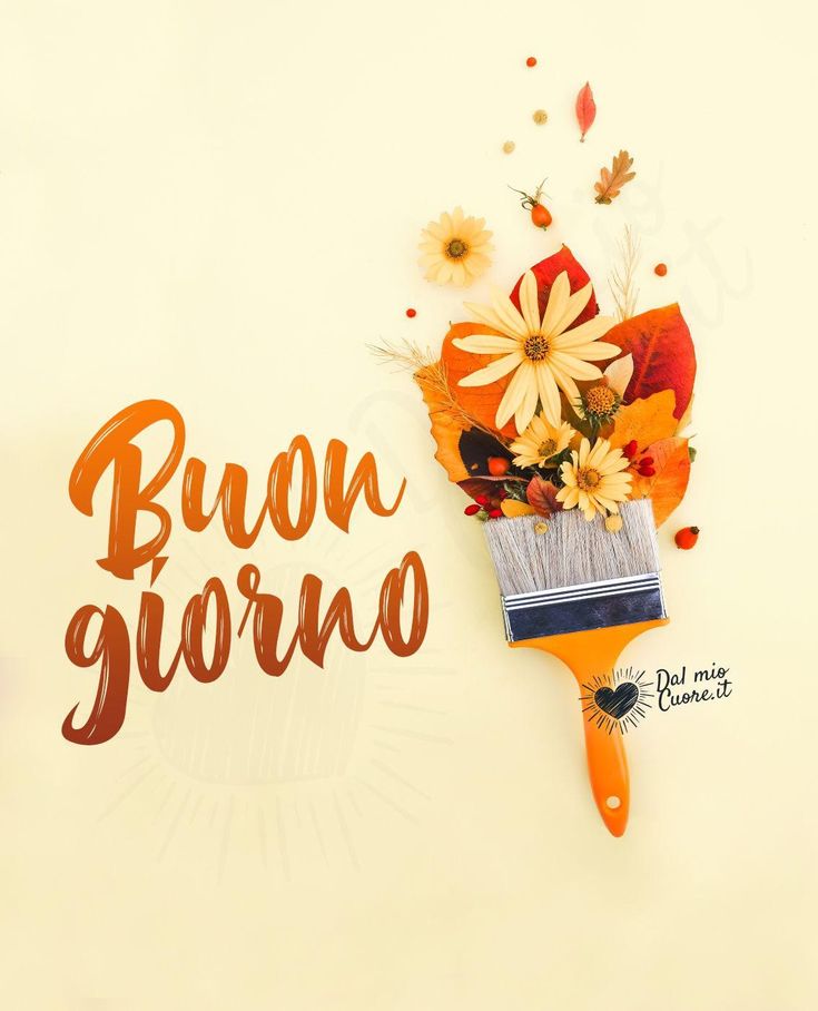 oggi stupende nuovissimo buongiorno immagini recenti