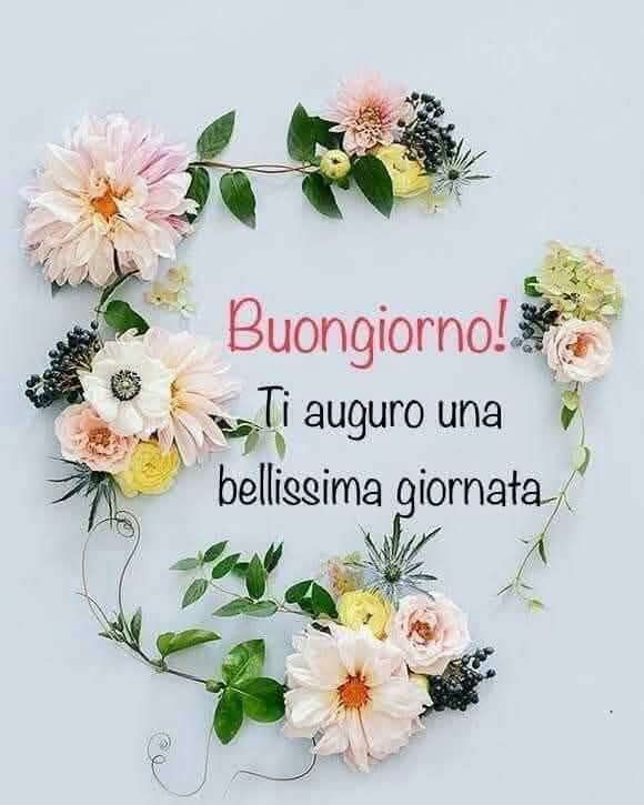 pietra bianca stupende nuovissimo buongiorno immagini recenti