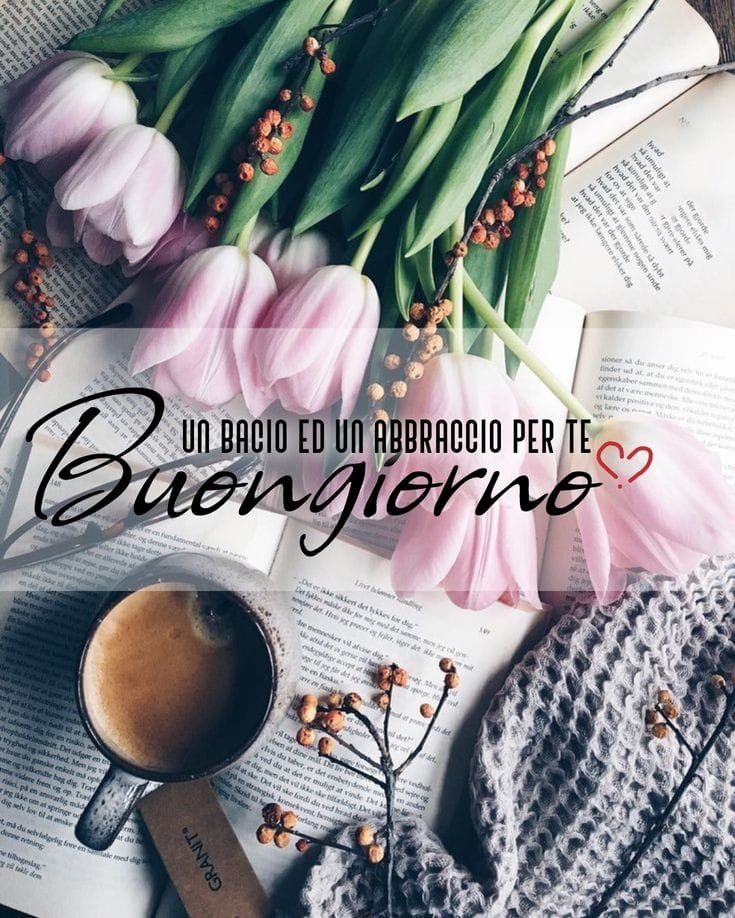 pinterest nuovissimo buongiorno immagini recenti